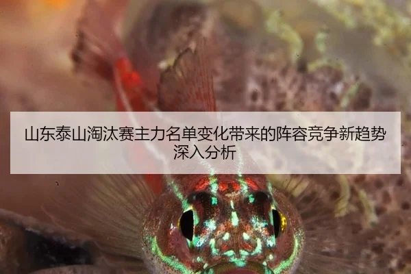 shan-dong-tai-shan-tao-tai-sai-zhu-li-ming-dan-bian-hua-dai-lai-de-zhen-rong-jing-zheng-xin-qu-shi-shen-ru-fen-xi-2-919.jpg